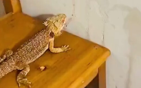 尼玛，流水线操作啊。