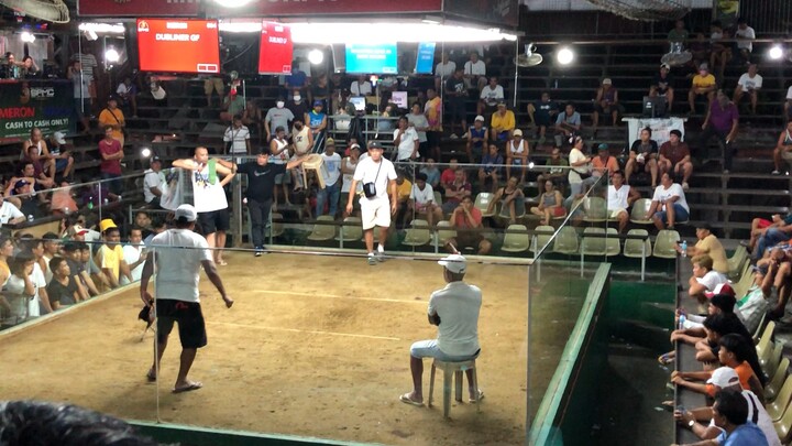 Nice fight pisan SP. last night San Pascual cockpit arena.