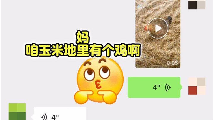 I lied to my mom and said the wind was so strong that a chicken came (๑°⌓°๑)