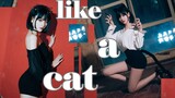 【Gikiki】万粉福利☆like a cat★猫步轻俏 韩舞初尝试♥