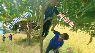 Vợ Tư tới công chuyện với tư chuyến này