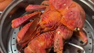 椰子蟹的力气真的可以夹断钢管