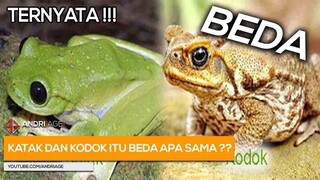 TAU GAK SIH, KALO KATAK DAN KODOK ITU BERBEDA | #BASI Eps. 2