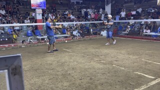 Ashley Claire 2nd fyt champ super putong bulik at Taal Coliseum Knights