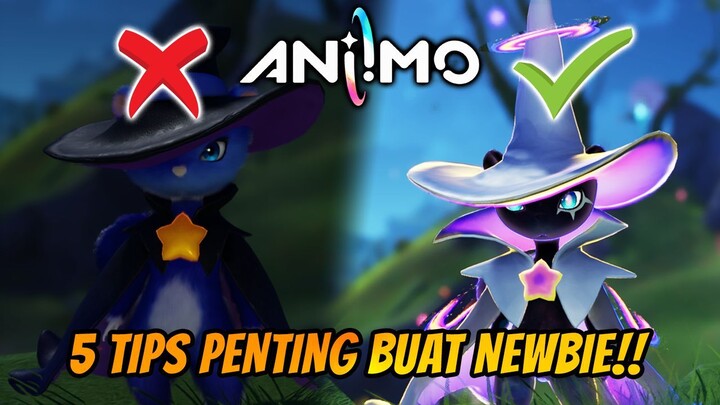 INI DIA 5 HAL PENTING WAJIB KALIAN TAU!!! TIPS PENTING BUAT PLAYER BARU!! (NEWBIE GUIDE)  -  ANIIMO