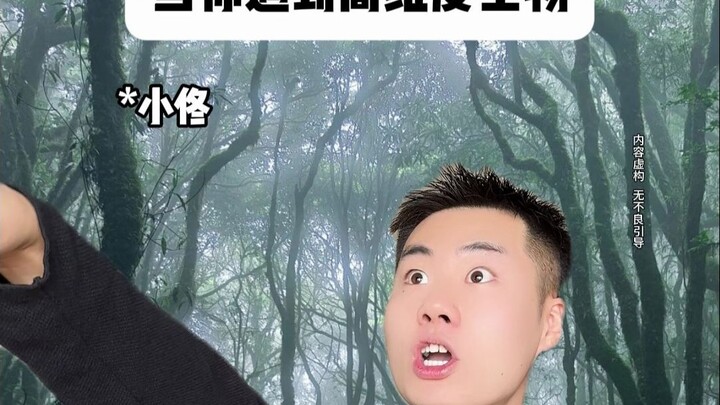 当你遇到高纬度生物