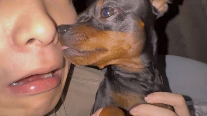 Sudah tiba lagi momen tengah malam yang paling disuka semua orang! #HewanPeliharaanImut[topic] #Pame