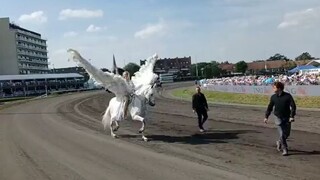 เทียนหม่า