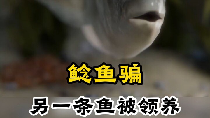 ปลาดุกหลอกล่อปลาอีกตัวจนถูกนำไปเลี้ยง