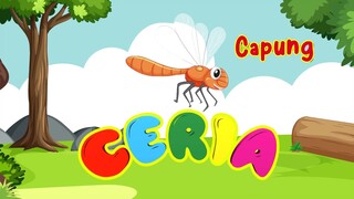 CERIA - Belajar Tentang Hewan: Capung