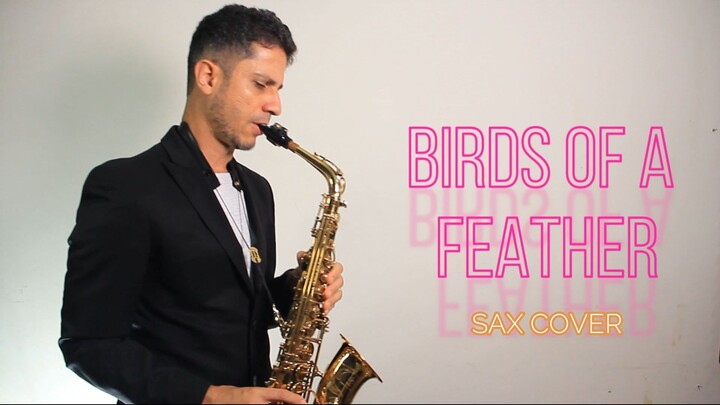 Birds of a Feather Sax Cover (saxophone co