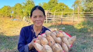 นึ่งมันแซงหัวใหญ่ๆ กินแซบๆก่อนไปส่อน “แมงดา” เล่นน้ำยามหนาว