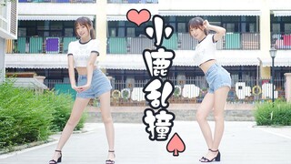 【麻岛酱】撞你一下不算碰瓷吧？！❤【小鹿乱撞】-生日作