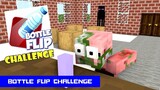 Monster School : BOTTLE FLIP CHALLENGE - Minecraft Animation
