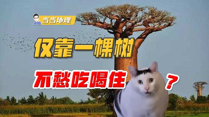 Can you really live without worrying about food, water, or shelter with just one tree? Why isn’t thi