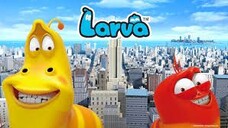 LARVA [SEASON 1]  FULL EPISODE