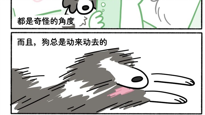 كم أتمنى لو نبتت كاميرا على رأسي!