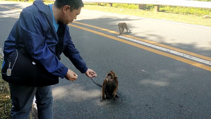 unggoy sa ternate Cavite