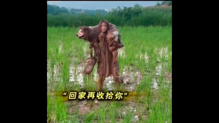 “The Dog Who Loves Playing in the Mud”