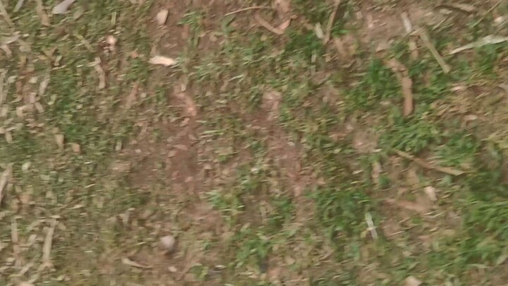 Gilmore Hatch x Sweater Full-Brothers