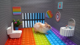 ภารกิจของหนูแฮมสเตอร์ EP 288