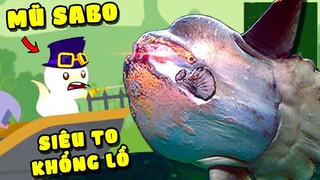 POBBROSE MÈO BỰA SONG KIẾM CÂU THỦY QUÁI KHÔNG GIAN !!! (Pobbrose Mèo bựa câu cá Tập 6) ✔