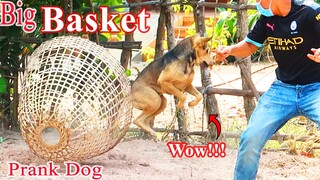 Real Prank! Sleeping Dog With Bamboo Basket - Very Surprise Scared Reaction-Must Watch Funny 2021