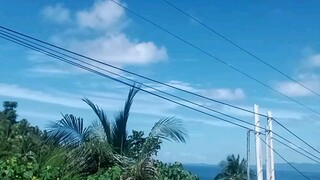 Daily vlog