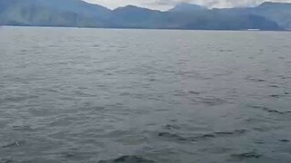 生活或许不完美，但总有细碎的美好在发芽