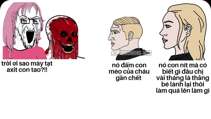 Tổng hợp meme thừa muối cực mặn #18.