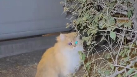 Jangan biarkan si mungil yang dulu menggemaskan, berakhir menjadi sosok menyedihkan di samping tong 