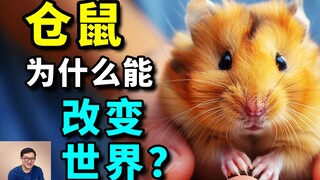 How did four unassuming Syrian hamsters change the world? And why does Australia ban keeping hamster