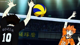 Best Match Haikyuu