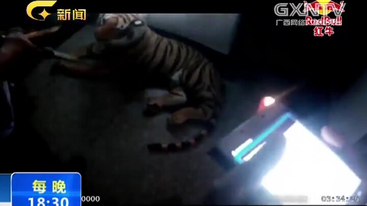 A man reported to the police that there was a tiger at his doorstep. The police thought he was drunk