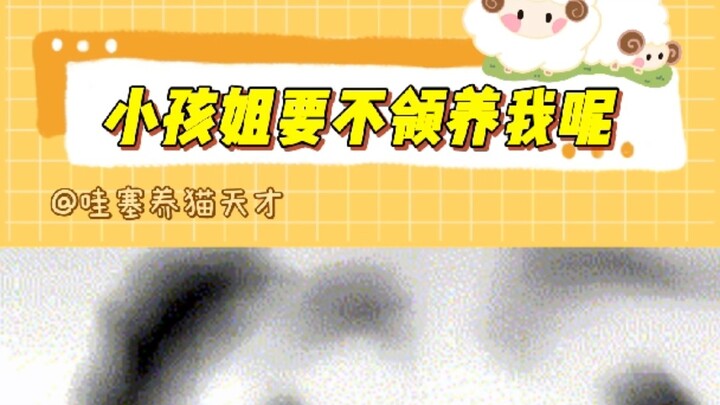 Little sister, why don’t you consider adopting me too?