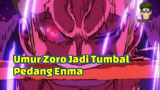 20 Tahun Umur Zoro Berkurang Pengaruh dari Pedang Enma