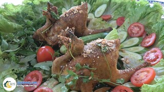 CHIM TRĨ NGUYÊN CON KHÌA NƯỚC DỪA | Hội Ngộ Miền Tây - Tập 101