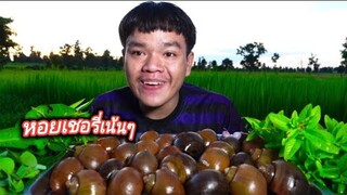 ต้มหอยเชอรี่นาแท้ๆโตใหญ่ๆ แกล้มผักกระแยงหอมๆ