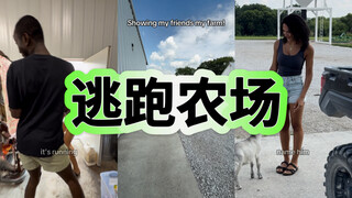 给朋友展示我的农场😊
