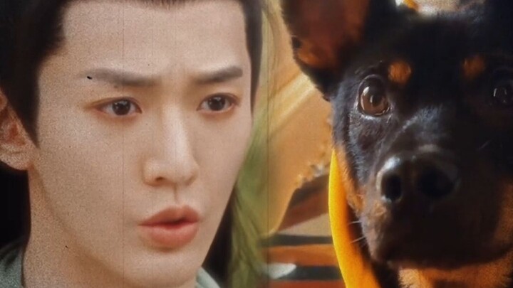 Literatur penyelamatan oleh Yao Jing terwujud dalam kehidupan nyata!! Di sudut sekelam apa pun pasti