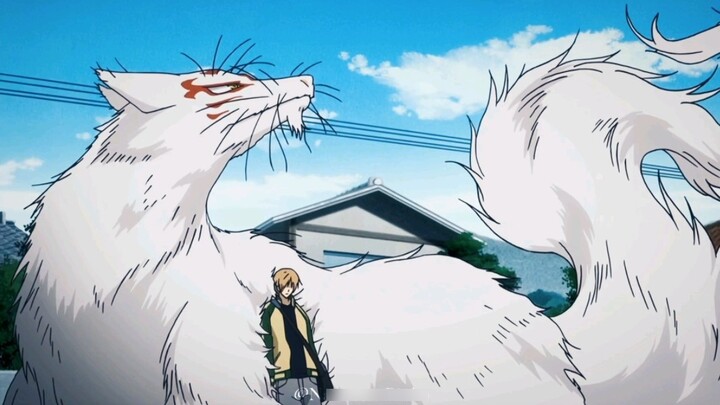 "Thank you, Mr. Cat, for always being by my side."
