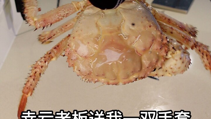 Seniman Acar Mentah Ungkap Kepiting Sampanye yang Lebih Ganas daripada Kepiting Kaisar