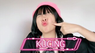 KUCING