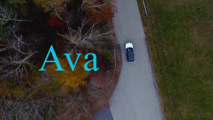 Ava (2020)