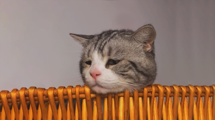 ปลาตัวใหญ่มาก!