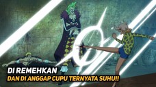 INI DIA KEKUATAN BUAH IBLIS BARI2 NO MI YANG SULIT DI KALAH KAN!! ONE PIECE TERBARU