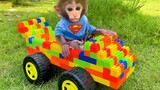 Baby monkey Bon Bon and puppy play with lego car and harvest watermelons in the garden