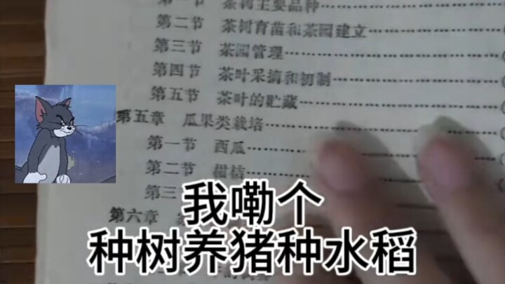 No wonder the older generation thinks that after finishing school, you should be able to do absolute