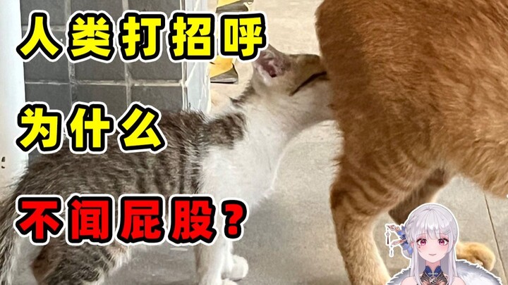 Tại sao con người khi chào nhau lại không ngửi mông của nhau? [Lớp học nhỏ của cô Lê]