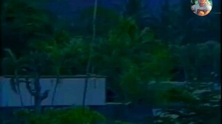 ALKALDE NG BAYAN (1993) Dan Fernandez | Tony Ferrer | Bunny Paras | Ramil Rodriguez Full Movie